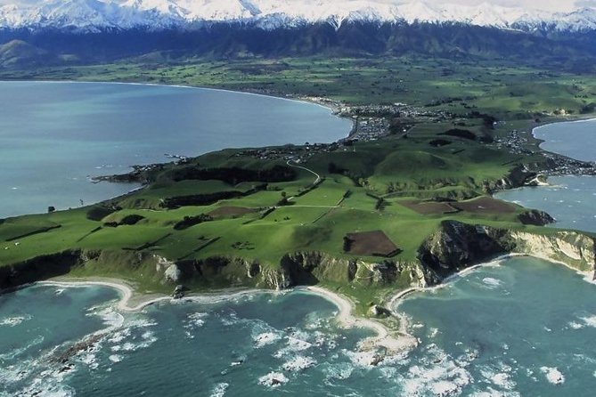 Kaikoura Swim With Dolphins Tour From Christchurch - Customer Reviews