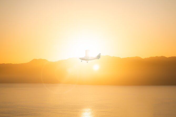 Kaikoura: Whale Watching Flight (Extended) - Positive Experiences and Testimonials