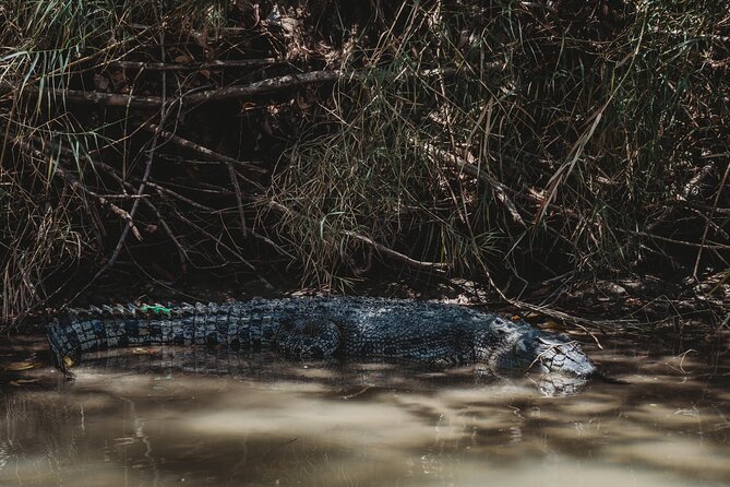 Kakadu Day Tour From Darwin With Offroad Dreaming - Cancellation Policy Details