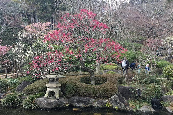 Kamakura Flower Tour - Group Size Pricing Details