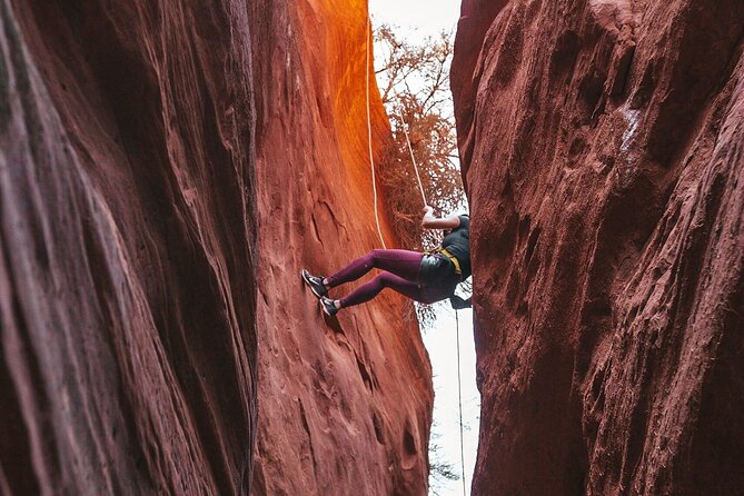 Kanab Small-Group Half-Day Canyoneering Tour  - Zion National Park - Common questions