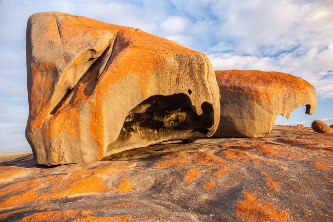 Kangaroo Island Luxury Small Group Flinders Chase Focus Full Day Tour - Remarkable Rocks and Admirals Arch
