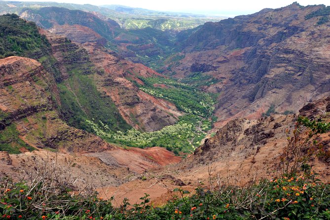 Kauai Waimea Canyon and Forest Tour With Lunch - Educational Insights on Kauais History