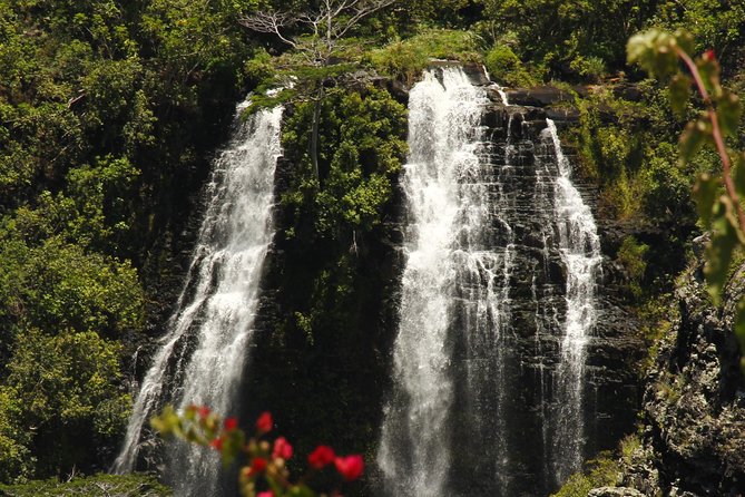 Kauais South & East Small Group Tour. Legends & Waterfalls - Safety Precautions