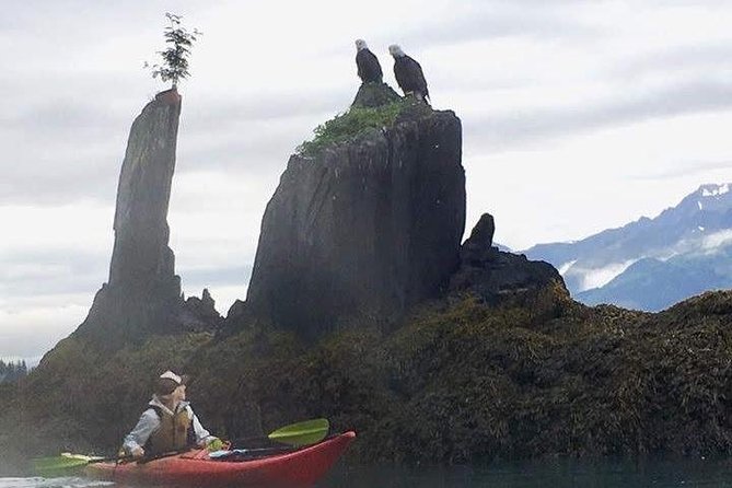 Kayak and Hike to Historic WW2 Army Fort in Alaska! - Safety Measures