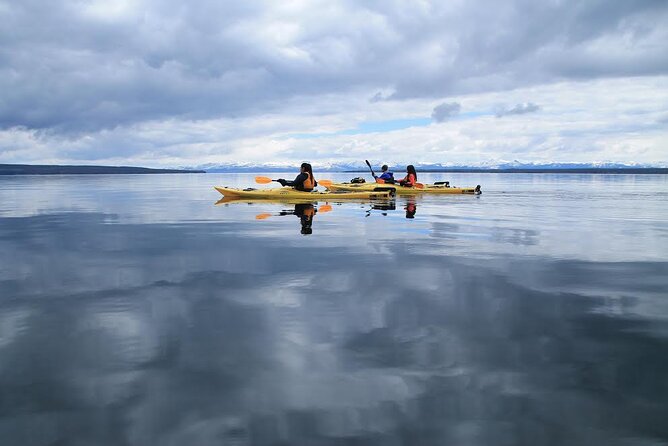 Kayak Day Paddle on Yellowstone Lake - Safety Guidelines and What to Bring