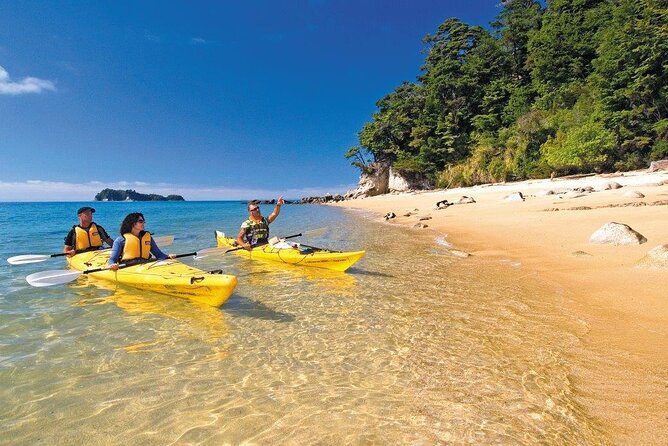 Kayak & Pitt Head Nature Loop - Guided Kayak & Unguided Walk - New Zealand - Experience Highlights and Confirmation
