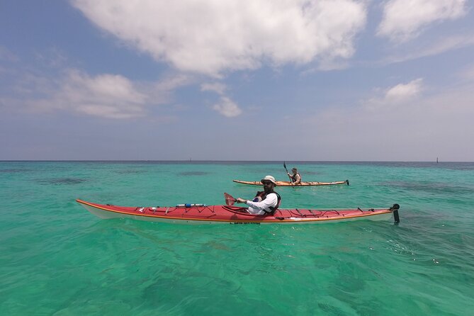 Kayak & Snorkel: Private Tour in Yanbaru, North Okinawa - Traveler Reviews and Ratings