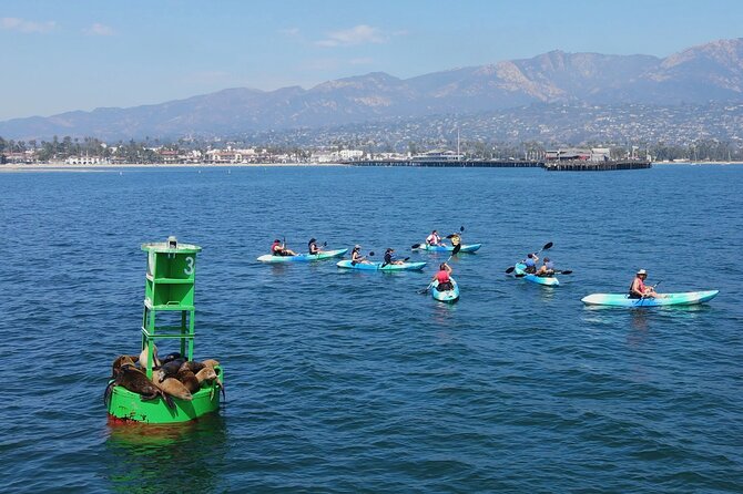 Kayak Tour of Santa Barbara With Experienced Guide - Customer Reviews and Recommendations