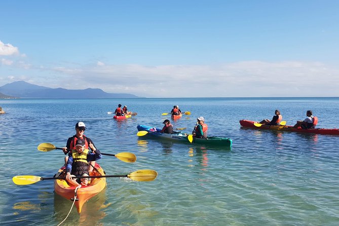 Kayak Turtle Tour From Palm Cove - Cancellation Policy Details