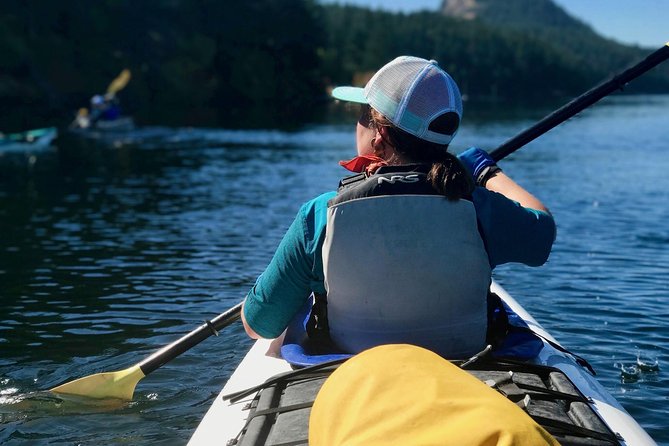 Kayaking Tour in The San Juan Islands, Washington - Visual Content