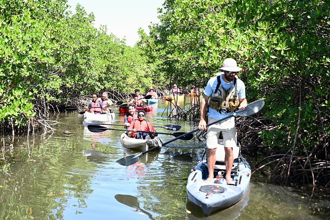 Kayaking Tour of Mangrove Tunnels in South Florida  - Fort Lauderdale - Traveler Photos