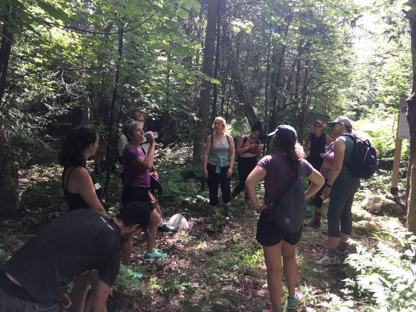 Kennebecasis River: Half Day Paddle and Hike - Location and Meeting Point