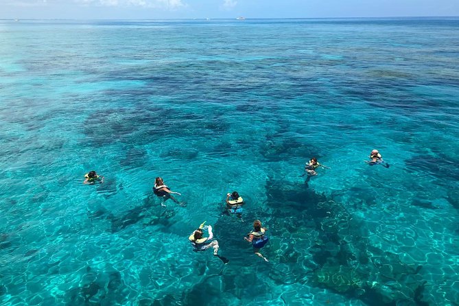 Key West Afternoon Reef Snorkeling With Open Bar - Customer Reviews
