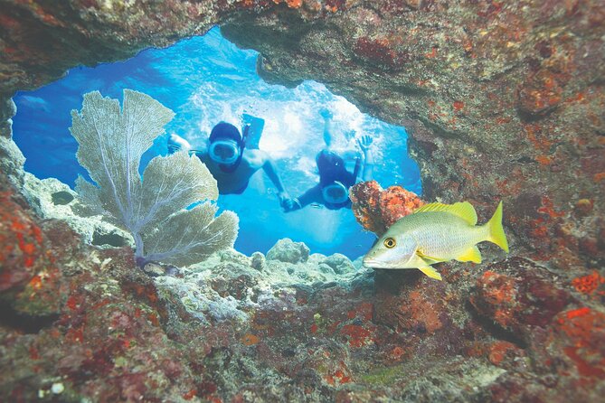 Key West Double-Dip: Two Reef Snorkeling Adventure With Drinks - Sum Up