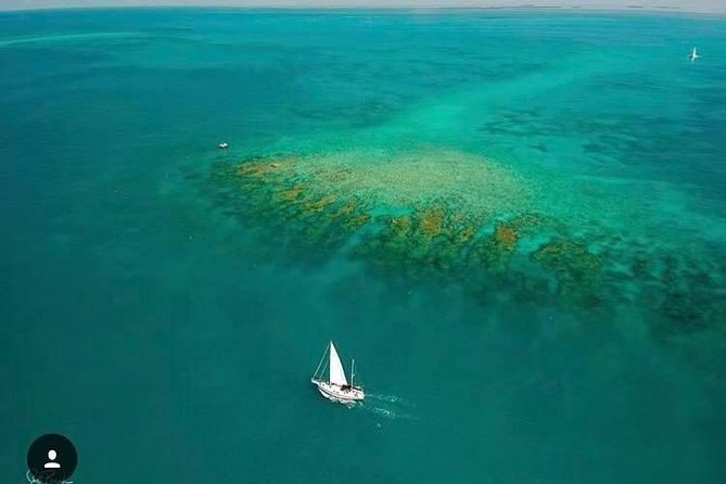 Key West Sailing & Snorkeling: A Reef Adventure - Customer Reviews