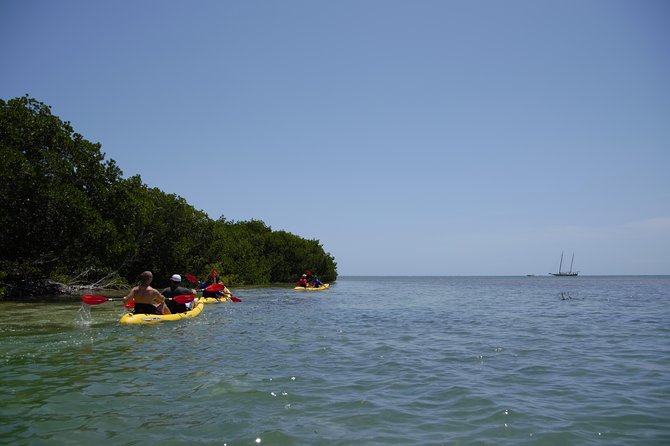 Key West Schooner Backcountry Eco-Tour: Sail, Snorkel & Kayak - Customer Feedback