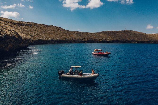 Kihei Small-Group Molokini Snorkel Tour  - Maui - Pricing Information