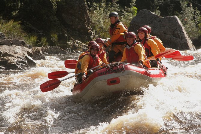 King River Gorge White-Water Rafting Day Tour From Queenstown  - Tasmania - Cancellation Policy and Reviews