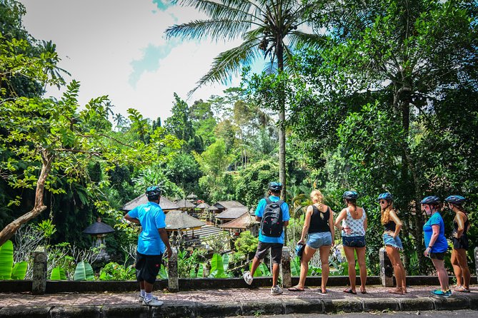 Kintamani Guided Bike Tour With Lunch, Tegalalang, and Batur  - Ubud - Guide Expertise and Safety Measures