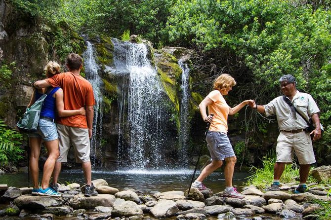 Kohala Waterfalls Small Group Adventure Tour - Adventure Highlights