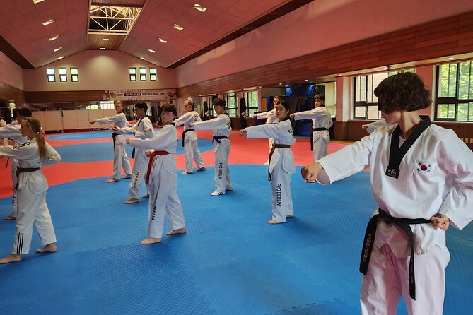 Korea Taekwondo Experience - Meeting and Pickup Information