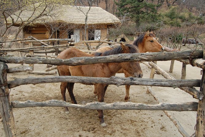 Korean Folk Village Afternoon Tour From Seoul - Booking Assistance