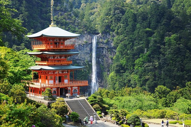 Kumano Kodo Pilgrimage Full-Day Private Trip With Government Licensed Guide - Transportation and Accommodation