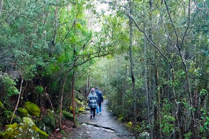 Kunanyi/Mt Wellington Explorer Bus - One Way Tour - Traveler Experience