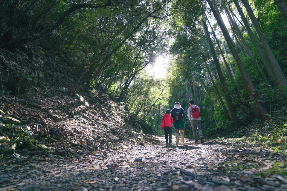 Kyoto: 3-Hour Fushimi Inari Shrine Hidden Hiking Tour - Meeting Point and Logistics