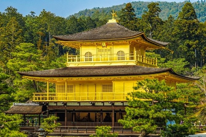 Kyoto Full-Day Private Tour by Public Transportation - Pricing Details