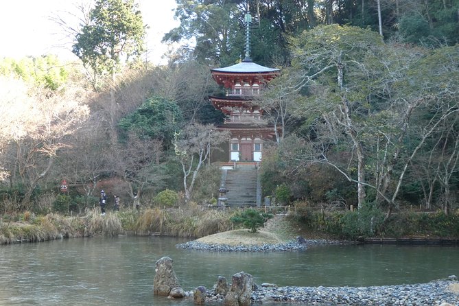 Kyoto, Nara 2 Days Bike Tour With Overnight Self Guided - Weather Considerations