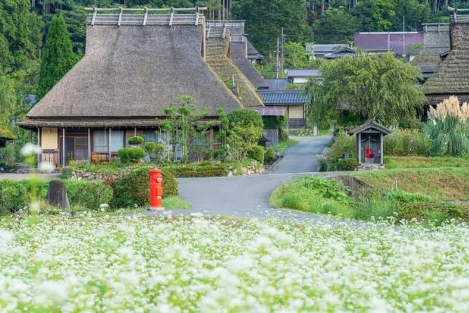 Kyoto Suburb Day Tour From Osaka - Attractions Visited