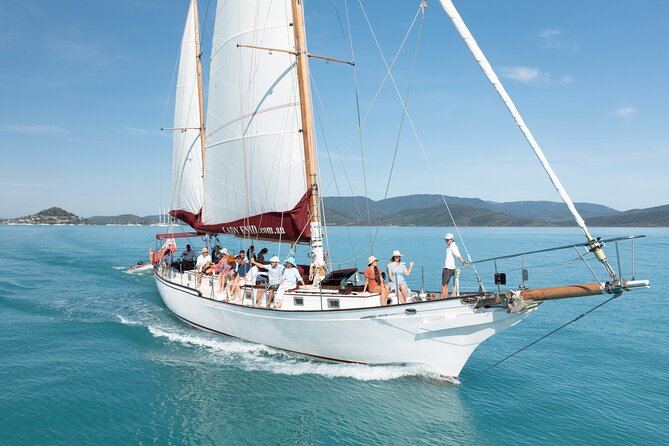 Lady Enid Sailing to Langford Island & Snorkelling - Adults Only - Reviews and Ratings Overview