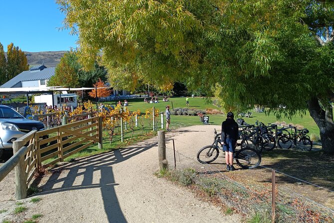 Lake Dunstan Trail Great Ride Bicycle Hire and Transfers  - Queenstown - Experience Details