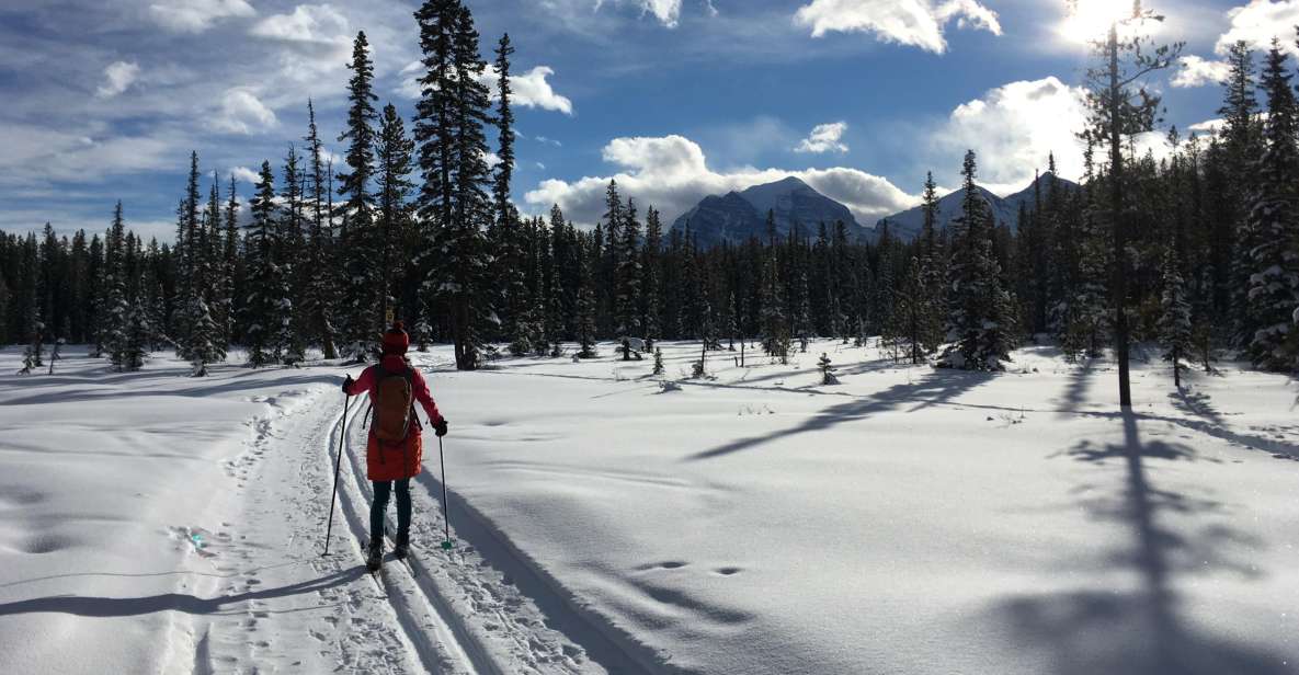 Lake Louise: Cross Country Skiing Lesson With Tour - Customer Reviews