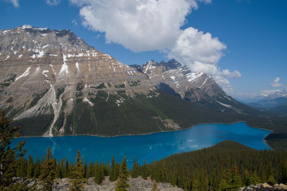 Lake Louise, Moraine Lake and Peyto Lake Full Day Tour - Tour Itinerary