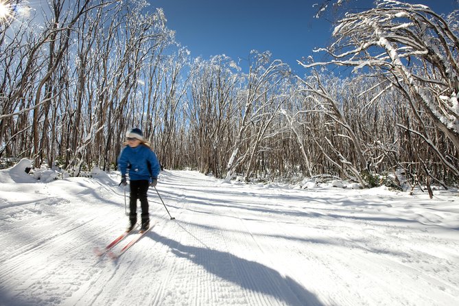 Lake Mountain Snow Trip Including Yarra Valley Chocolaterie From Melbourne - Positive Experiences Shared