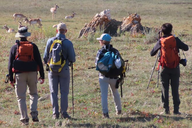 Lamar Valley Safari Hiking Tour With Lunch - Guest Experience and Expectations