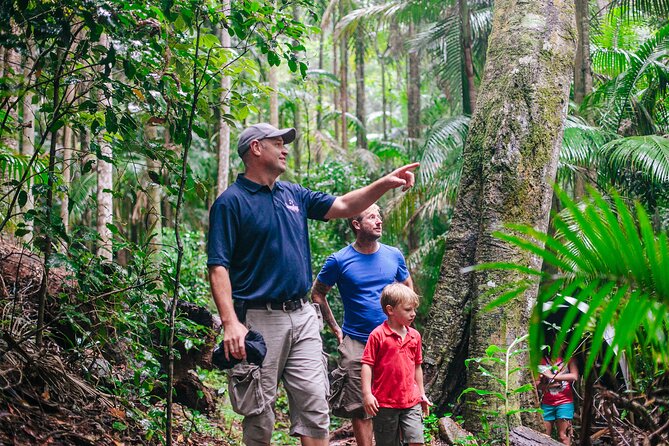 Lamington National Park, OReillys & Vineyard Tour - Booking Information