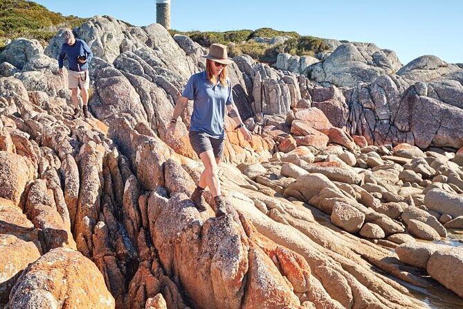 Larapuna / Bay of Fires Hiking Tour - 4 Days - Booking Information