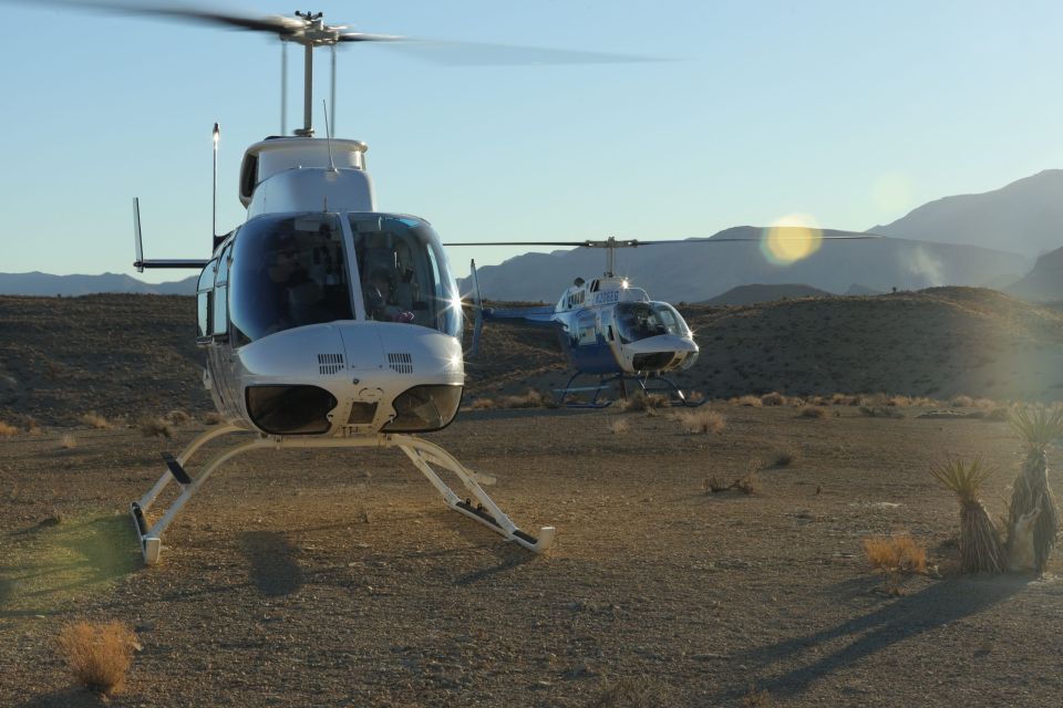 Las Vegas: Grand Canyon Helicopter West Rim Flight & Options - Customer Reviews