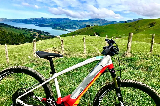 Lava Loop- Guided Electric Mountain Bike Tour in Akaroa - Safety Guidelines