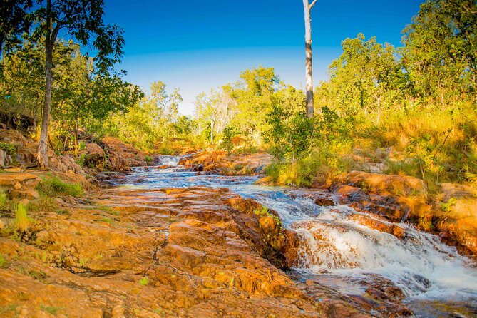 Litchfield National Park Waterfalls Day Trip From Darwin Including Termite Mounds and Lunch - Pricing and Booking Info