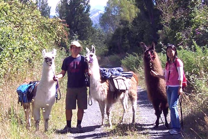 Llama Trek (Taster) - Kowhai River Valley and Native Woodland Tour - Equipment Requirements