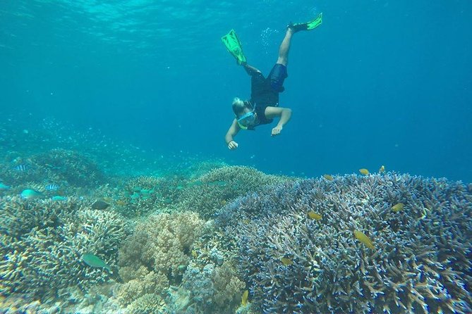 Lombok Small-Group Full-Day Gili Islands Snorkel Tour - Customer Satisfaction & Help Center