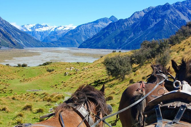 Lord of the Rings High Country Station Pioneering Experience & Scenic Day Tour - Cancellation Policy Details