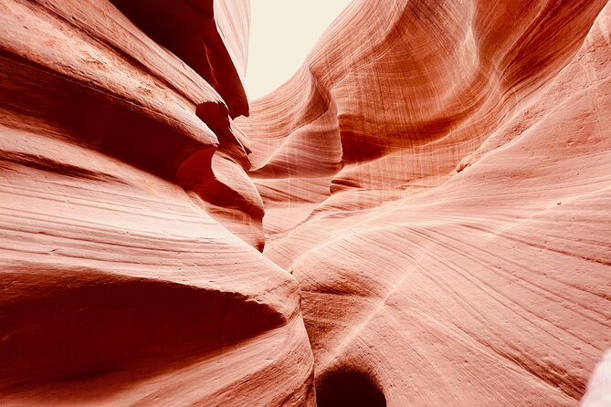 Lower Antelope Canyon and Horseshoe Bend Day Tour With Lunch - Customer Reviews