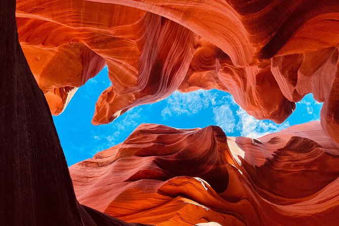 Lower Antelope Canyon & Horseshoe Bend Tours in Arizona - Reviews and Feedback