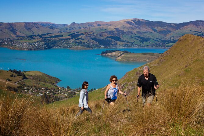 Luxury Private Guided Crater Rim Walk on Banks Peninsula - What to Bring